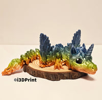 Baby Alicorn Dragon