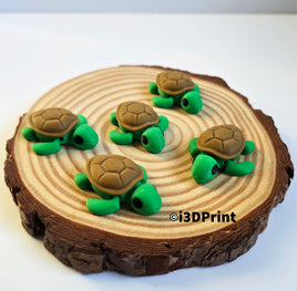 Baby Turtle