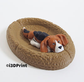 Beagle Puppy