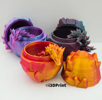 Dragon Crystal Egg + Dragon