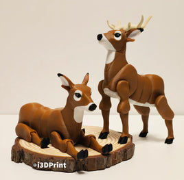 Deer Doe / Deer Buck