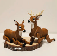 Deer Doe / Deer Buck