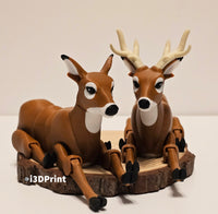 Deer Doe / Deer Buck