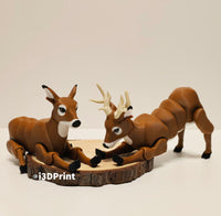 Deer Doe / Deer Buck
