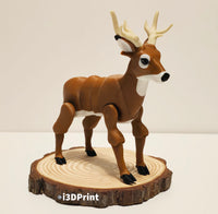 Deer Doe / Deer Buck