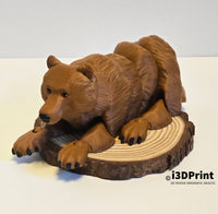 Flexi Bear