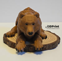 Flexi Bear