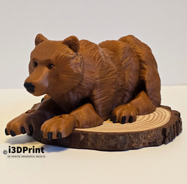 Flexi Bear