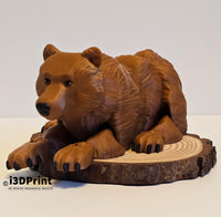 Flexi Bear