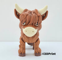 Playful Highland Cow