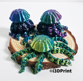 Jellyfish