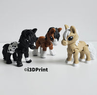 Mini Horse