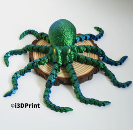 Octopus