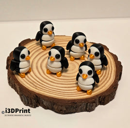 Baby Penguin