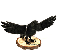 Raven