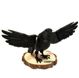 Raven