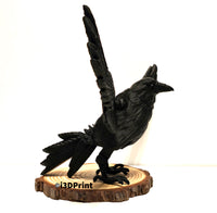 Raven