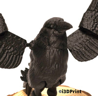 Raven