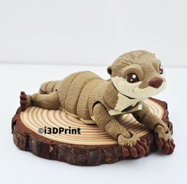 River Otter