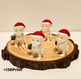 Santa Skeleton