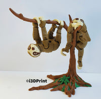 Sloth