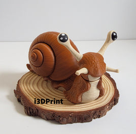 Snail
