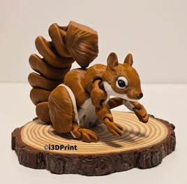 Red Squirrel